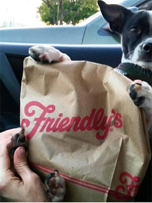 Friendly's