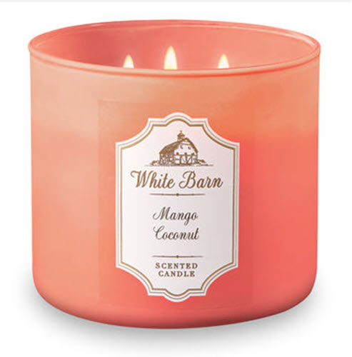 View Bath And Body Works White Barn Christmas Candle Pics