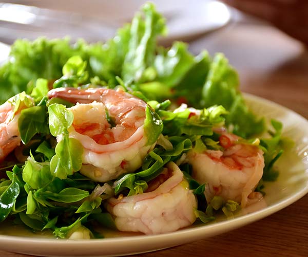 shrimp salad