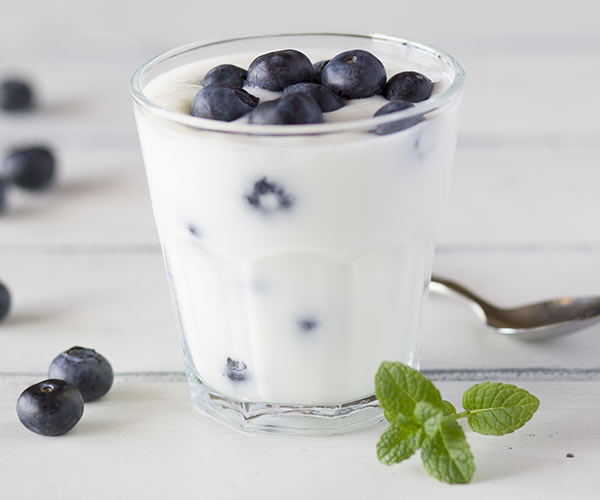 yogurt and blueberries