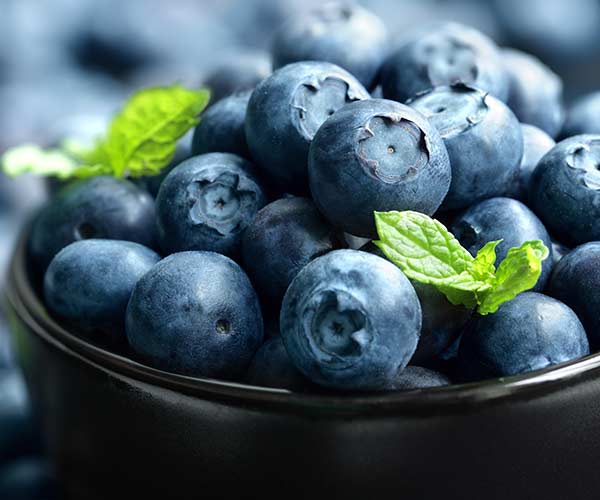 bowl of blueberries