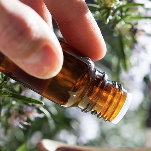 The Ultimate Guide To Essential Oils For Beginners - SHEfinds