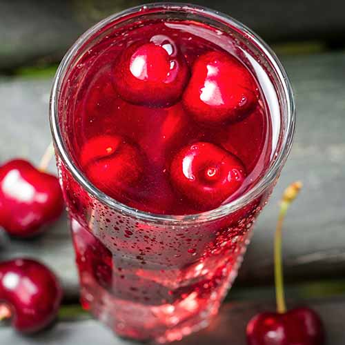 cherry juice