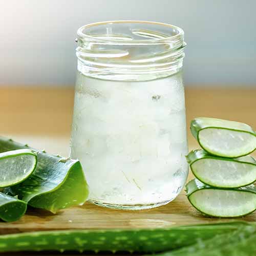 aloe vera juice