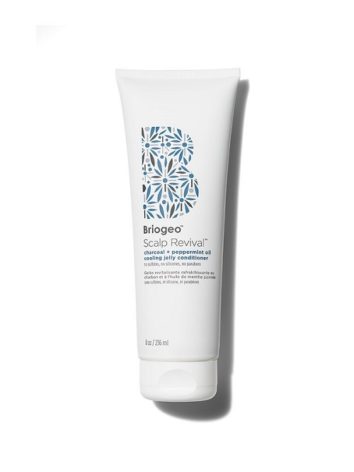 Briogeo Shampoo Conditioner Review - Shefinds