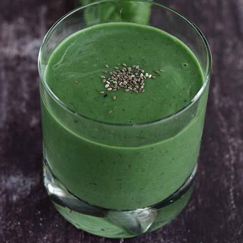 spirulina