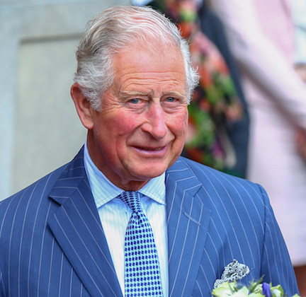 Someone Let This MAJOR Secret About The Royal Family Get Out - SHEfinds