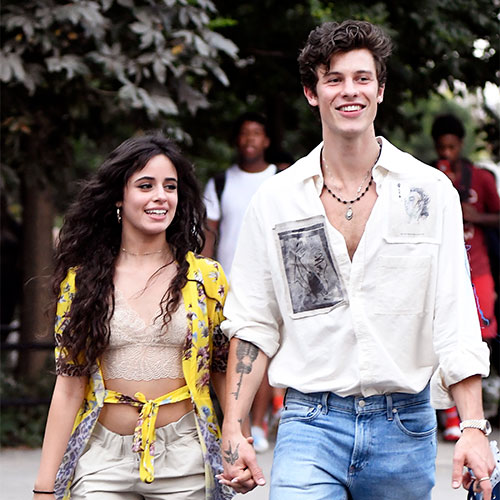 Everyone Is Freaking Out Over The Camila Cabello & Shawn Mendes News ...