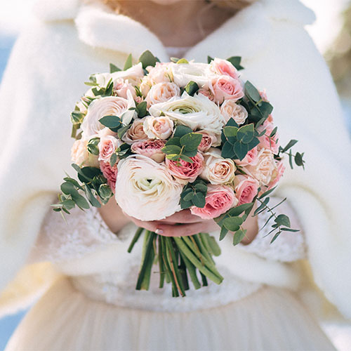 Blush Pink Velvet Flower Headband with Birdcage Veil - Genevieve