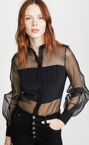 Sheer Blouse