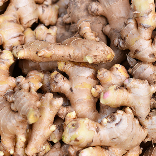 ginger best spice for weight loss