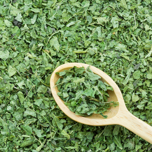 dried nettle leaf