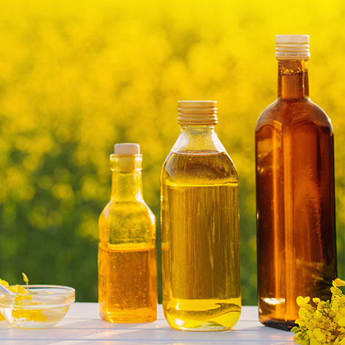 canola oil worst healthy fat metabolism