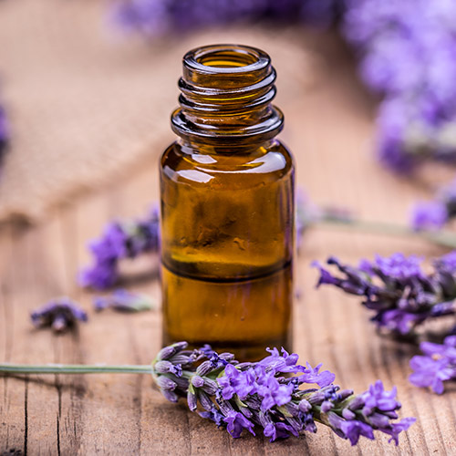 lavendar oil