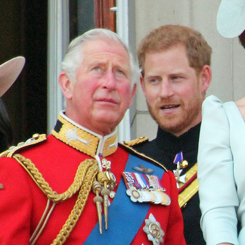 prince charles and prince harry