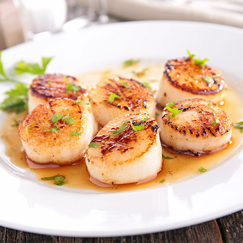 scallops