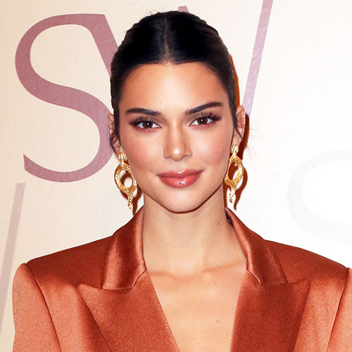 Kendall Jenner Just Wore Sheer Lingerie On Instagram—It's Unreal! - SHEfinds