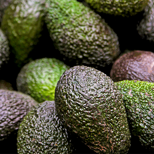 avocado best anti-aging beauty fruit