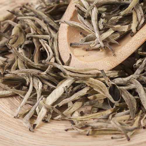 white tea best anti aging hot drink