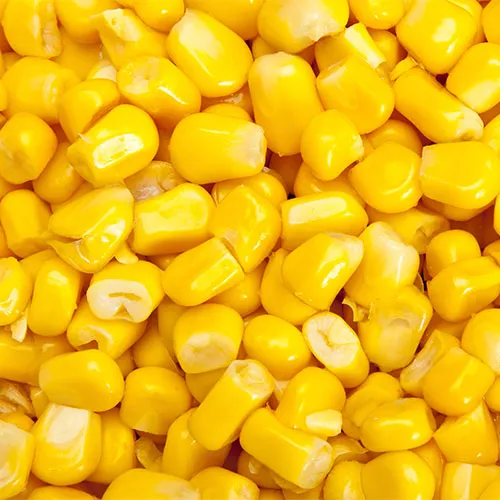 corn worst vegetable for salad unhealthy