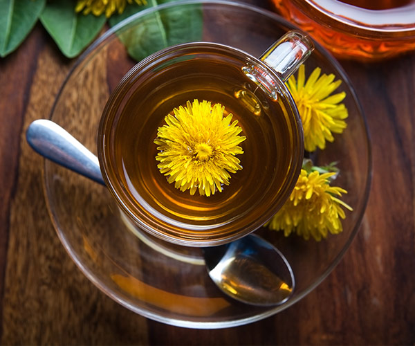 dandelion tea best anti inflammatory detox tea