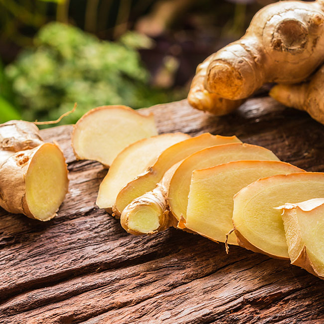 Zingiber officinale ботаника