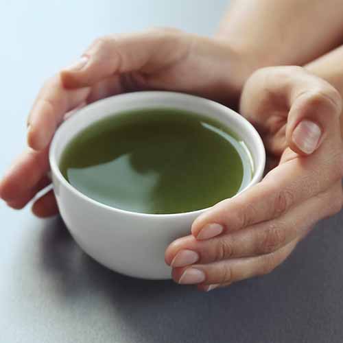 best green tea hot drink boost metabolism