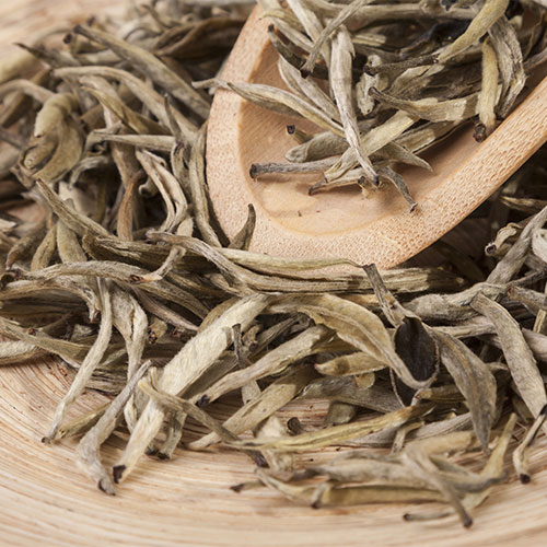 white tea best anti inflammatory drink for women