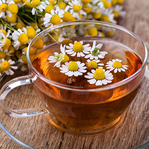 chamomile best anti inflammatory hot tea before bed