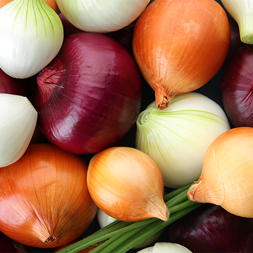 onions cause bloating inflammation