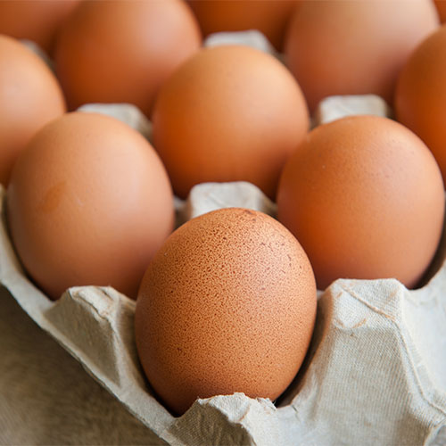 best protein rich foods for metabolism eggs