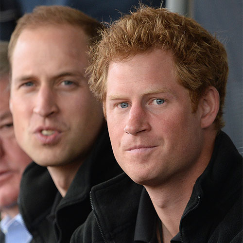 prince william and prince harry