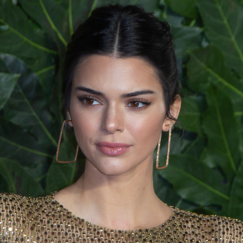 We Can’t Believe Kendall Jenner Wore THIS Super Tiny Bikini - SHEfinds