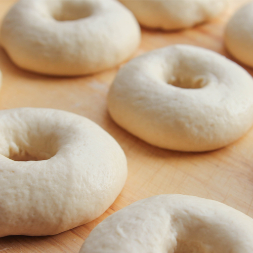 homemade bagels