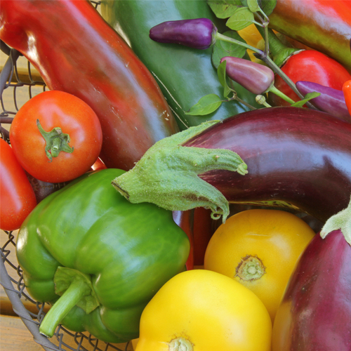 nightshade vegetables