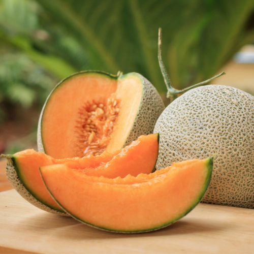 cantaloupe