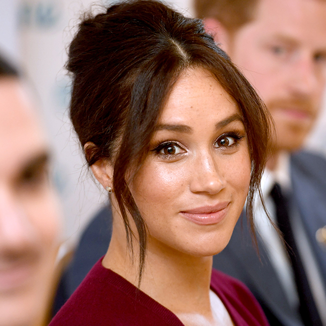 meghan markle childrens book the bench plagiarism accusation