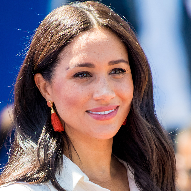 meghan markle childrens book the bench plagiarism accusation