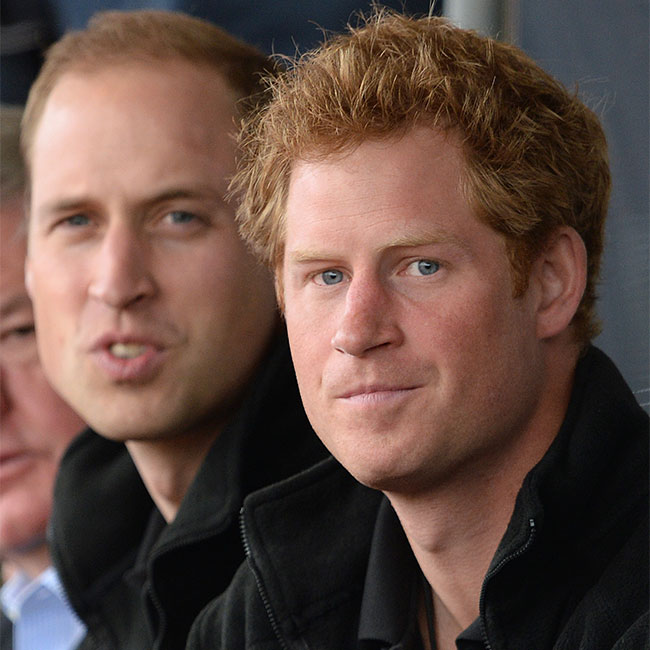 prince harry prince william family dispute