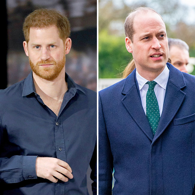 prince harry prince william family dispute