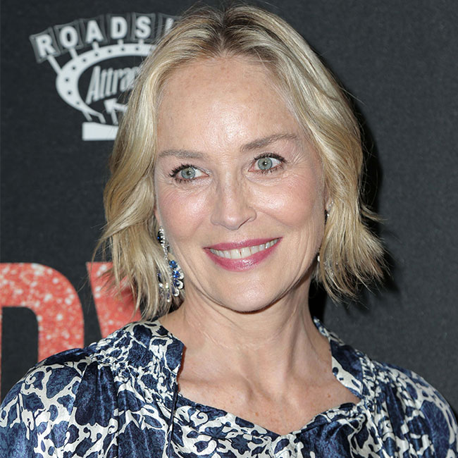 sharon stone reveals details on her 2001 stroke