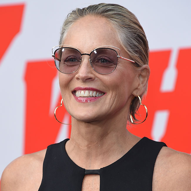 sharon stone reveals details on her 2001 stroke