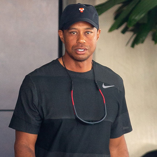 tiger woods car accident rehab health update