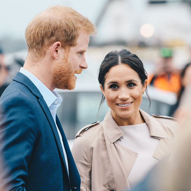 meghan markle prince harry lilibet domain names