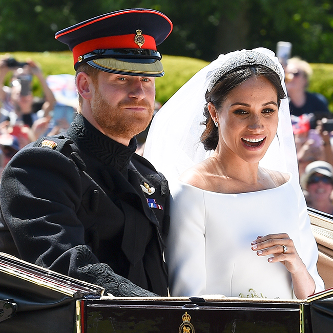 meghan markle prince harry lilibet domain names