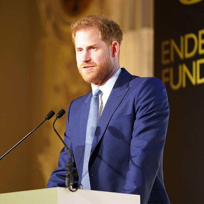 prince harry royal title news