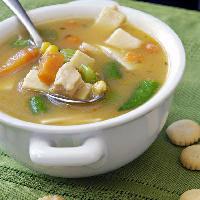 turkey vegetable soup