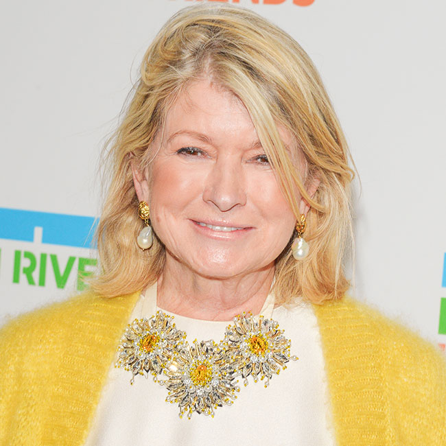 martha stewart ruptured achilles tendon health status update