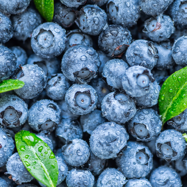 blueberries best anti aging fruit slow down skin aging