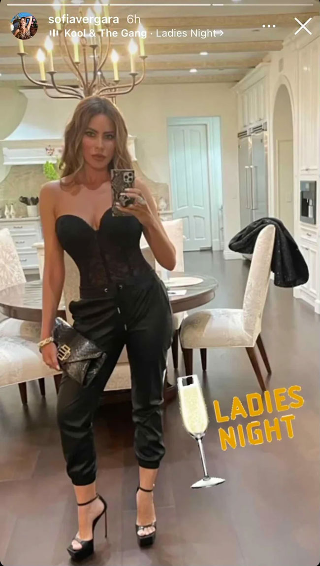 The Irresistible Return Of The Corset Top—Celebrities Like Hailey Bieber  Can't Get Enough! - SHEfinds